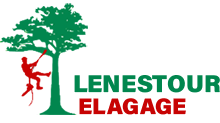 elagage-lenestour-elagage